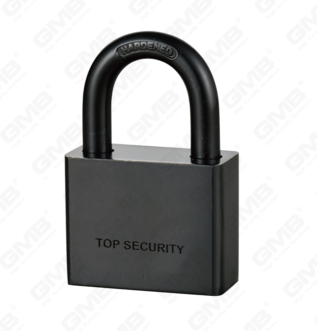 挂锁网站图3_【123】ЭЛЕКТРОФОРЕЗ ЧЕРНЫЙ ЖЕЛЕЗНЫЙ ДИСК НАВЕСНОЙ ЗАМОК-28