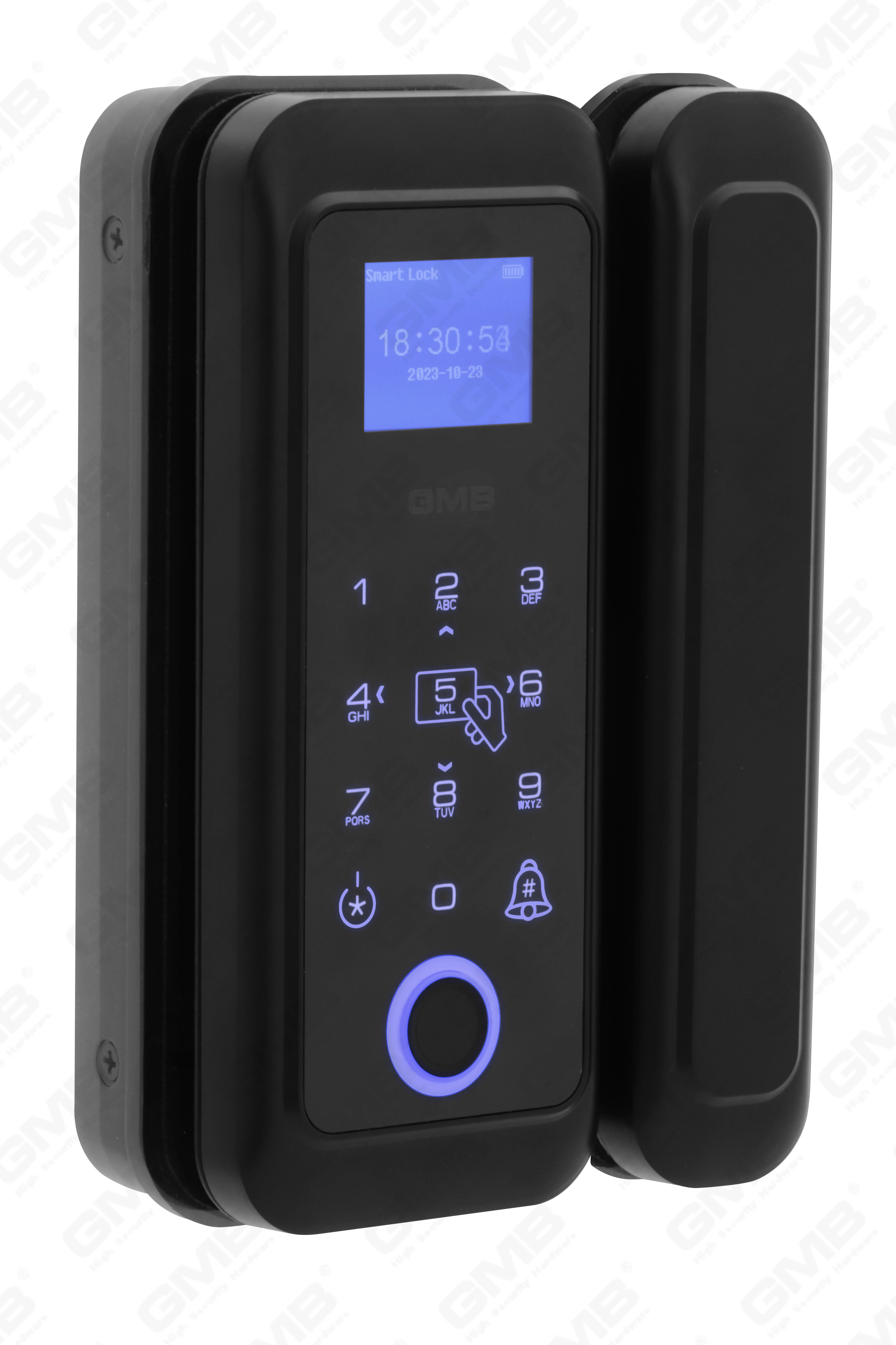 Отпечатка отпечатков пальцев/RFID/RFID/Wi -Fi/Tuya/TT App Digital Smart Glass Door Lock (254)