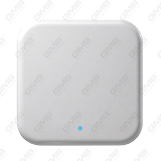 Ttlock Gateway Wi -Fi Smart Digital Gateway для Smart Lock Remote Control (G2)