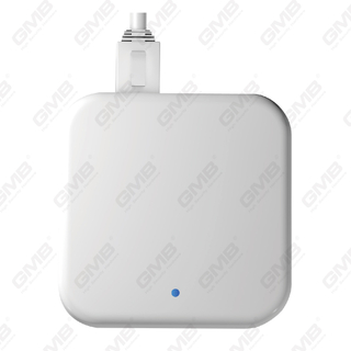 G3P Wi -Fi Ble Poe Ttlock Gateway для Smart Lock и других устройств TTLock (G3P)
