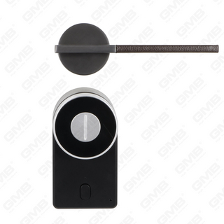 Европейская вход без ключа TT Password Password Crement Divalless Digital Smart Door Lock (U009)