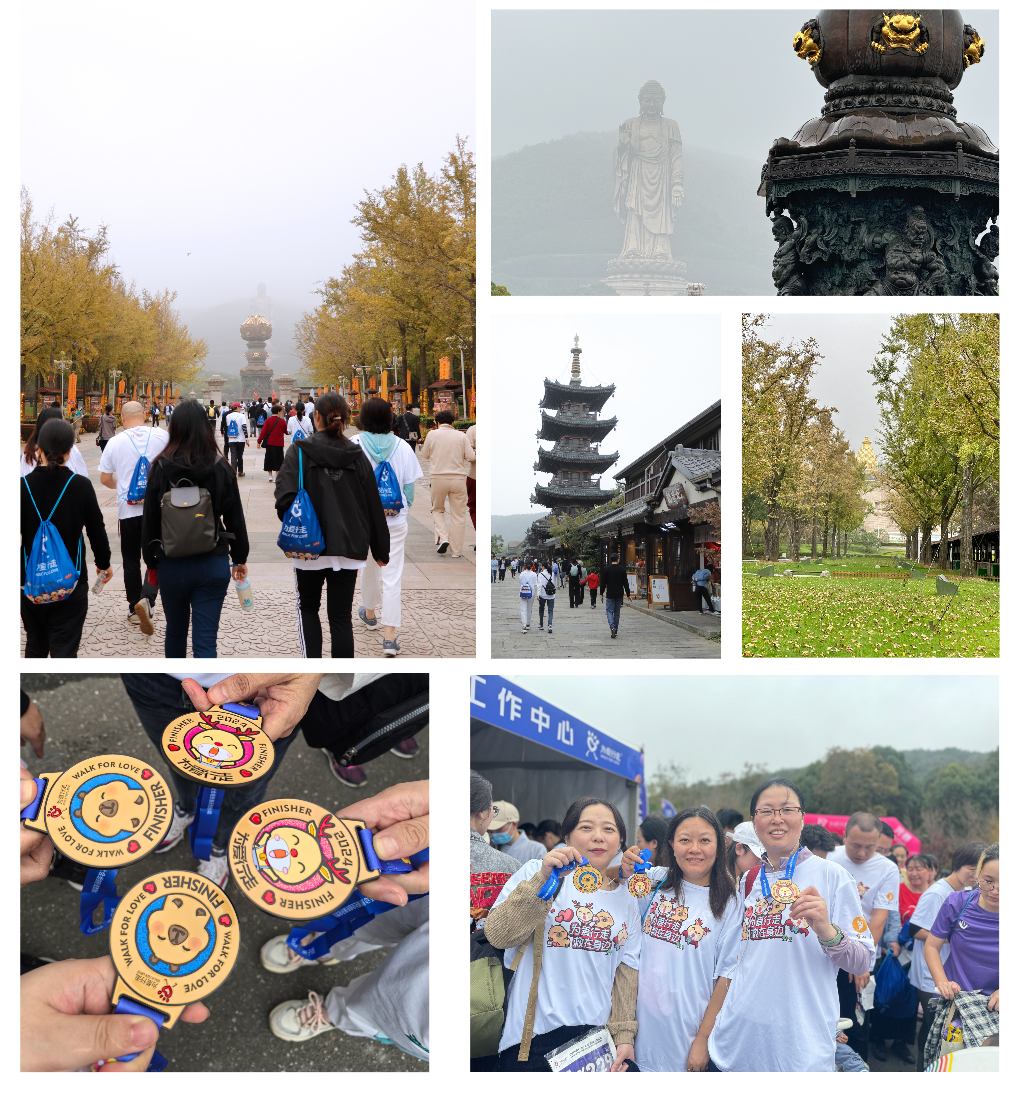 网站图 _ 画板 1